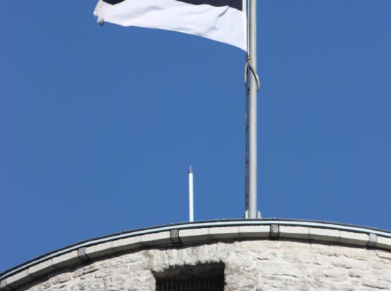 Eesti lipu päev (Eesti lipp 126)